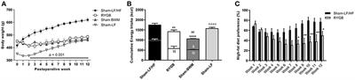 Suppressed Fat Appetite after Roux-en-Y Gastric Bypass Surgery Associates with Reduced Brain μ-opioid Receptor Availability in Diet-Induced Obese Male Rats